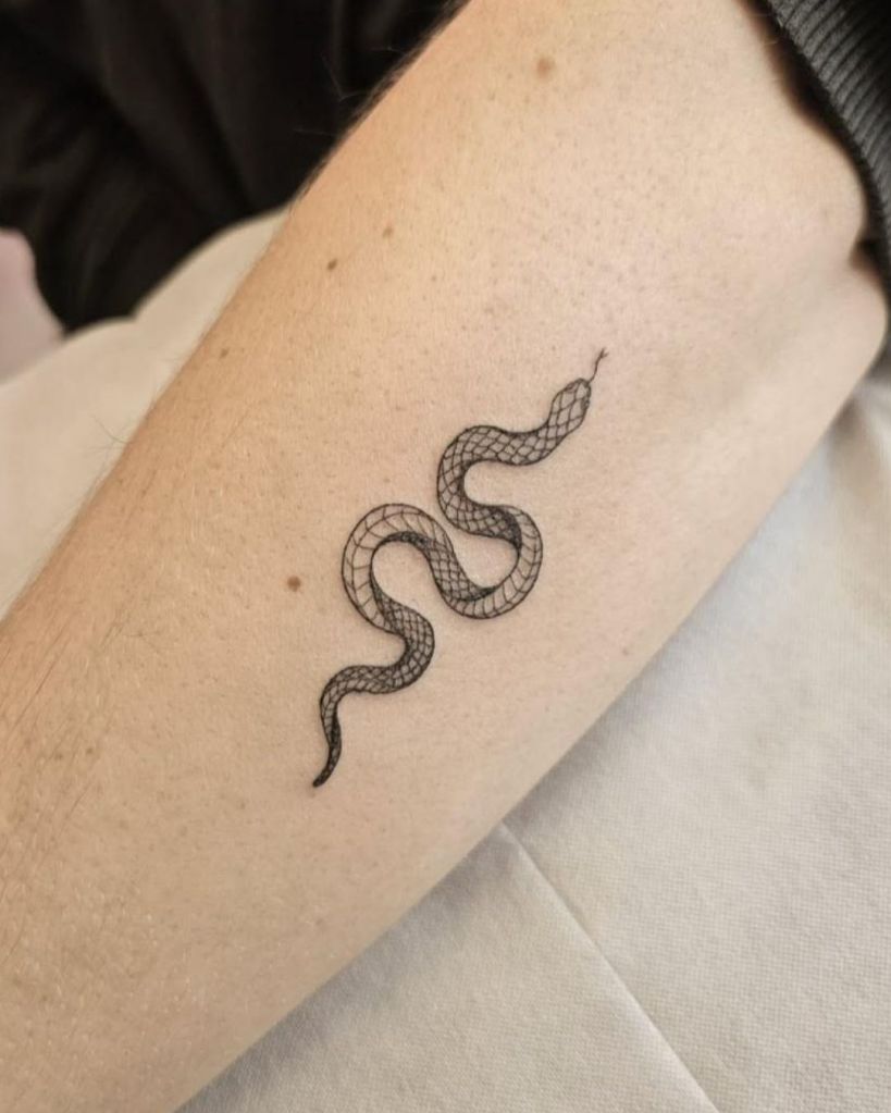 Close-up of a delicate snake tattoo on a person's arm, showcasing intricate linework.