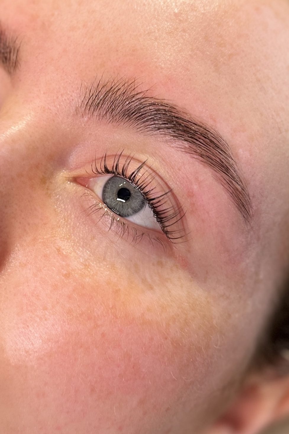 Close-up of an eye with well-groomed eyebrows and long eyelashes, showcasing beauty and detail.