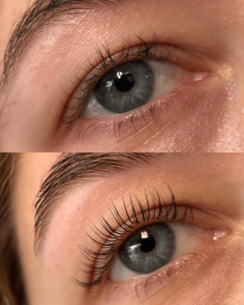 korean lash lift training