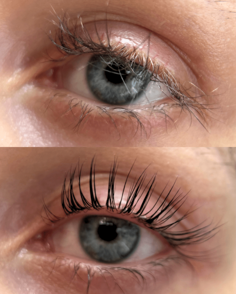 korean lash lift training